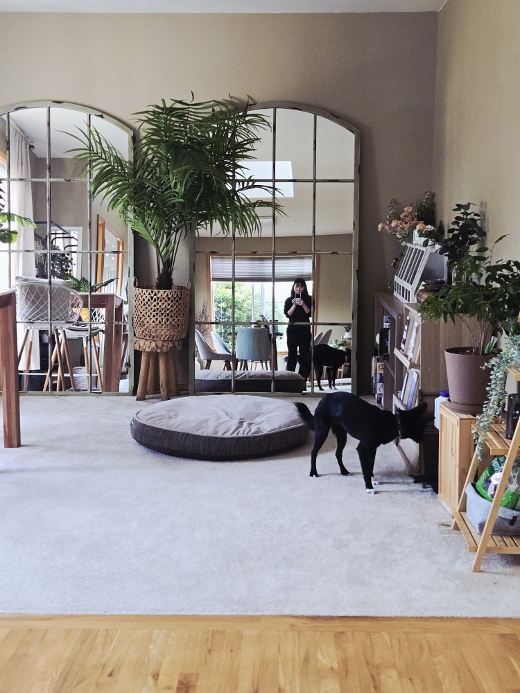 [해외입양] 미국 시애틀에서 가족을 만난 '대순이'