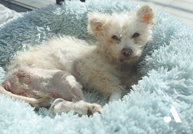 [건강소식] 허브의 건강소식을 전해드립니다.