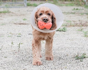 화창한 가을 하늘 아래 즐거운 센터 칭구들 ^^ 