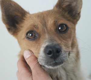 오늘 하루도 무사히...