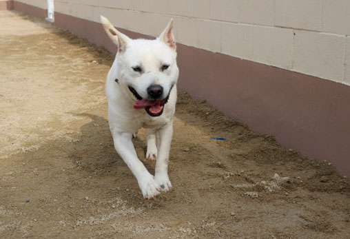 우리 친구들이 씐나게 뛰어 놀 <하늘운동장>을 소개합니다!