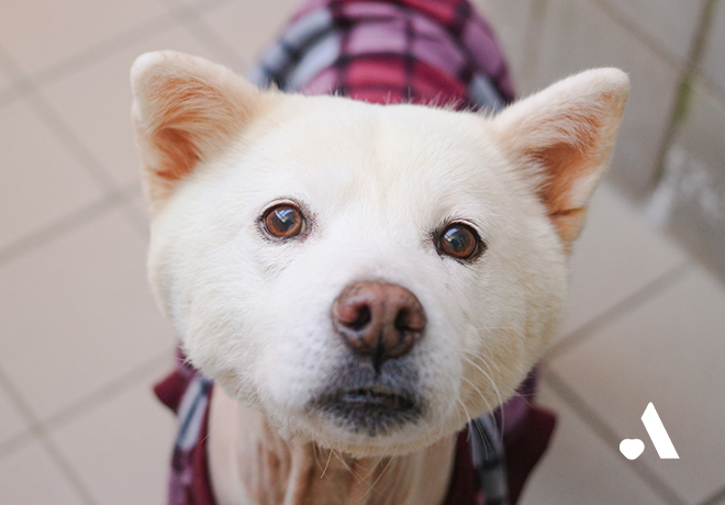 구더기가 끓어도 방치되던 아진이
