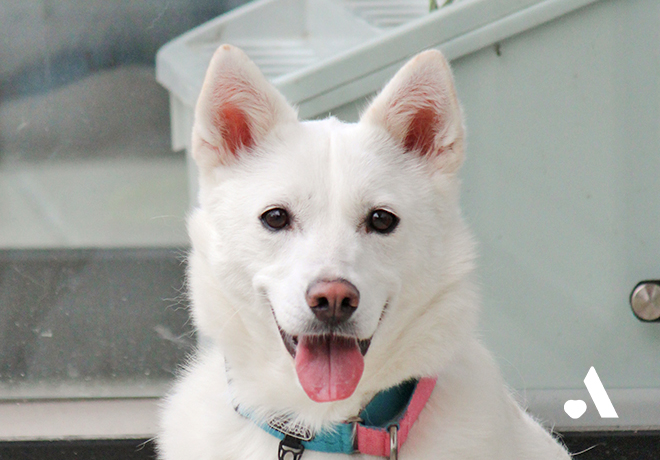 움직일 수조차 없이 방치되었던 강비