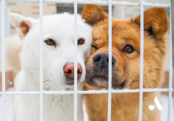 [봉사] 2025년 12월, 정기봉사자를 모집합니다!✨