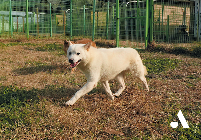 외부 위탁 보호소에서 지내고 있는 친구들의 소식 전해드립니다.💌