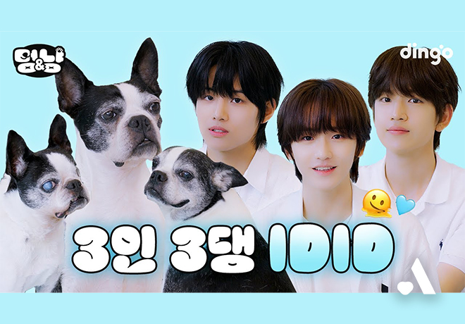 📺 딩고 [멍&냥]에 호랑, 호수, 호동이가 함께했어요!