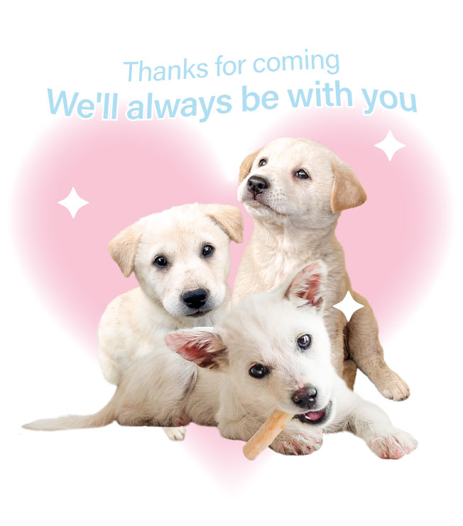 반려견 골드리치럭키 가족의 후원