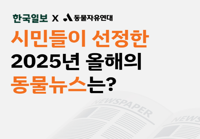 [동물자유연대X한국일보] 시민들이 선정한 2025년 올해의 동물뉴스는?