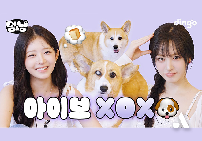 📺 딩고 [멍&냥]에 봄날이와 풀잎이가 함께했어요!