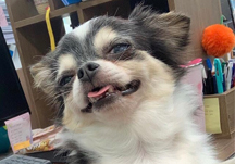 활동가가 그린 기린 그림 시리즈 3탄! '세상에서 제일 예쁜 세치'