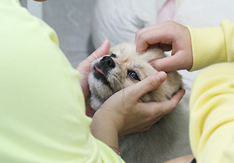 2019 결연의 날에 와주신 대부모님, 고맙습니다♥