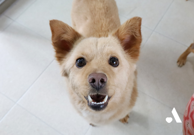 묶여 있던 자리가 세상 전부였던 황덕이