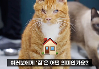 [제2온센터] 동물들의 집을 짓는 일