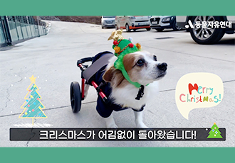 그래도 우리는 메리 크리스마스!