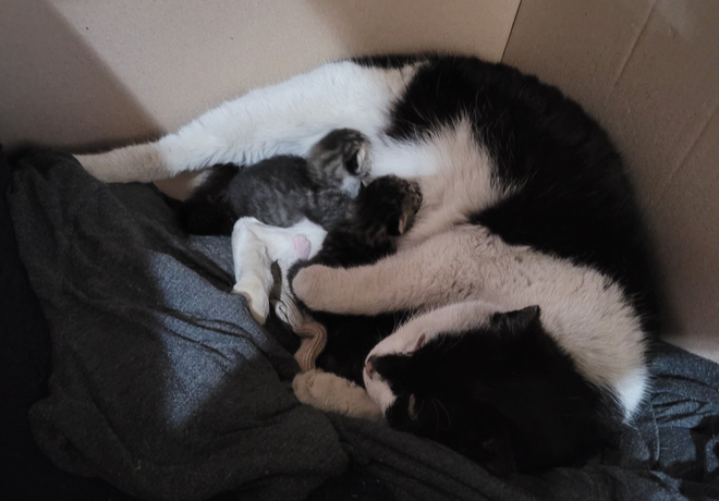 [쓰담쓰담] 아기들과 새로운 세상으로 깜비