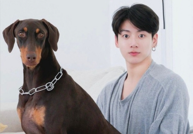 방탄소년단 정국 팬분의 후원