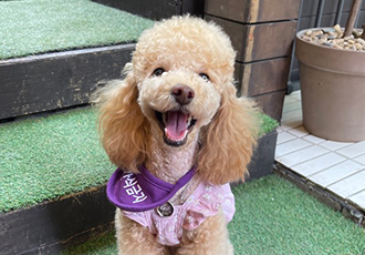 초이랑 1년6개월(곤지암-해삼)