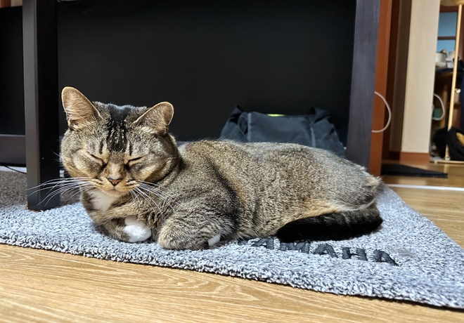 범이 팬클럽의 후원