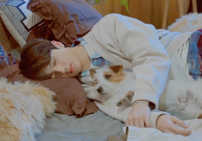 NCT 지성 팬분의 후원