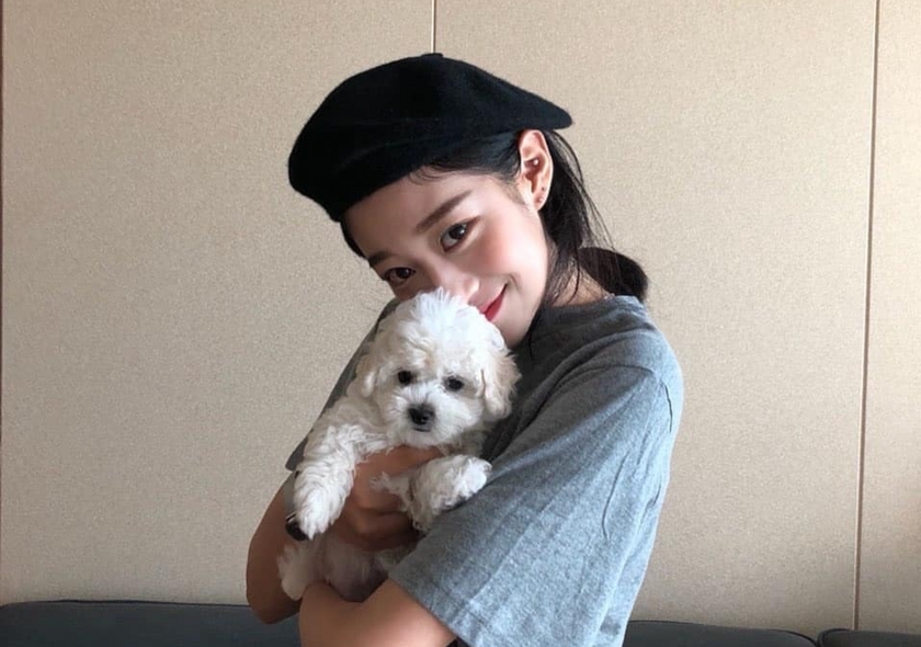 고정희 팬분의 후원