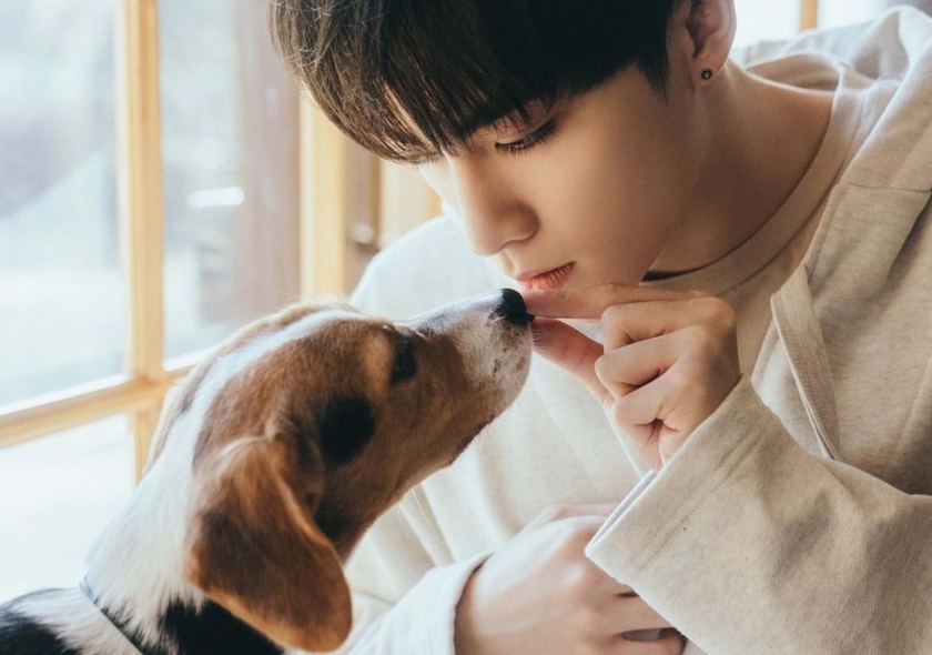 샤오쥔&벨라 팬분의 후원