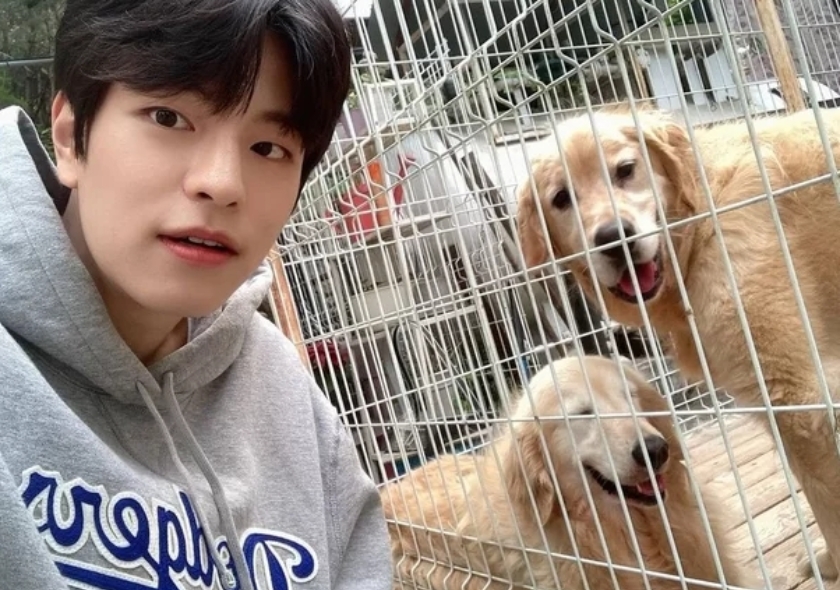 스트레이키즈 승민 & 스테이 팬분의 후원