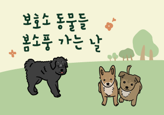 스타벅스와 함께하는 입양캠페인, '보호소 동물들 봄소풍 가는 날!💚