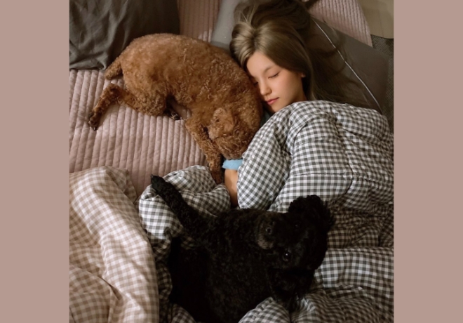 ITZY 예지 팬분의 후원