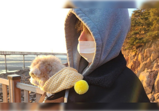 더보이즈 현재 팬분의 후원