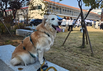 호박(고양4) 잘 지내고 있습니다.