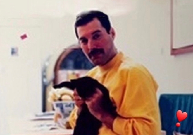 프레디머큐리 팬분의 후원