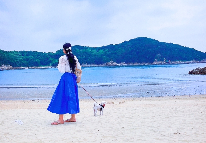 틱톡 호스트 다이 님의 후원