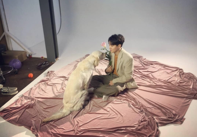 자이로 팬클럽의 후원