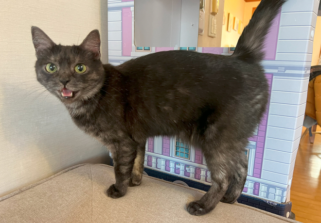 랑 팬분의 후원