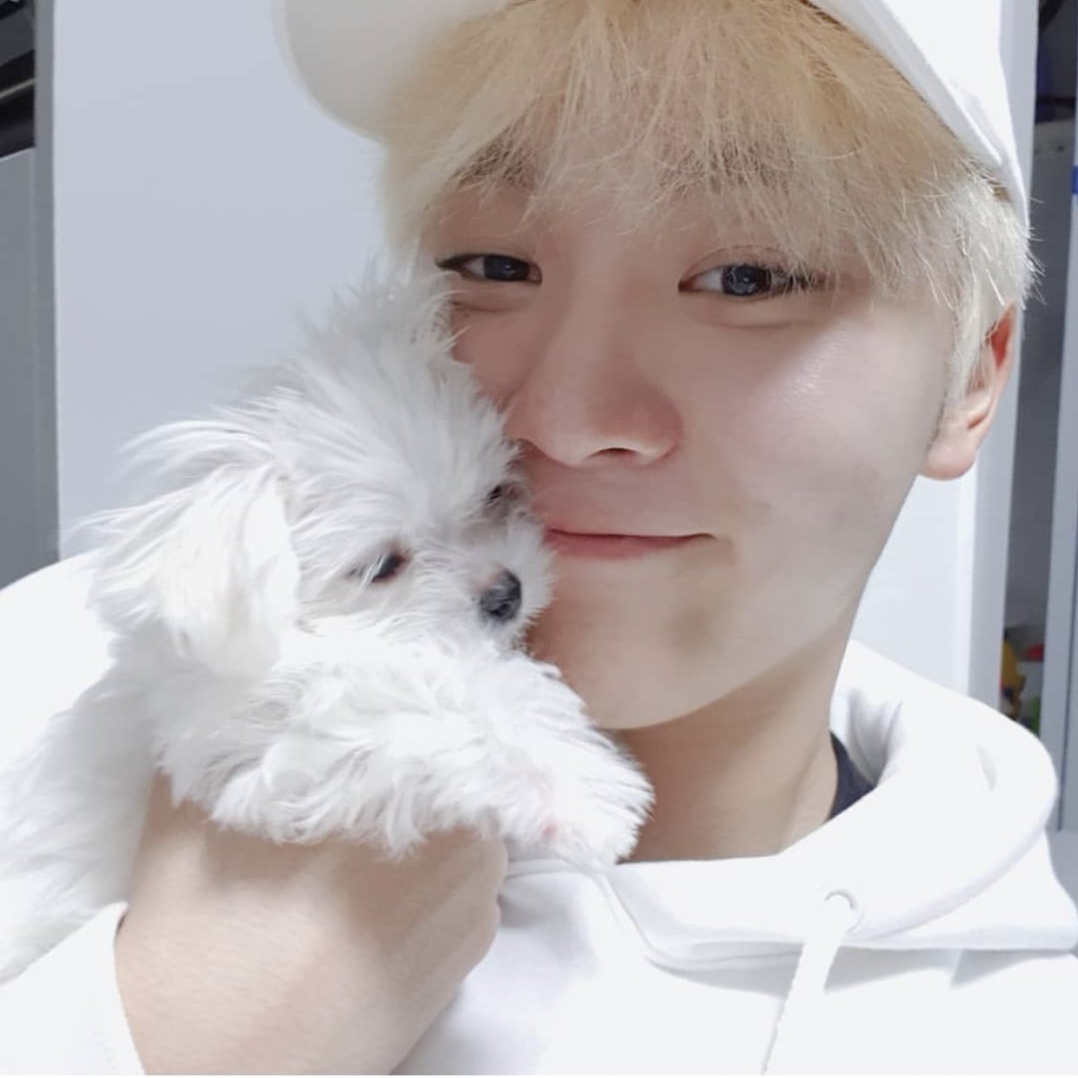 세븐틴 부승관 팬분의 후원