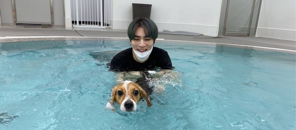 샤오쥔&벨라 팬분의 후원