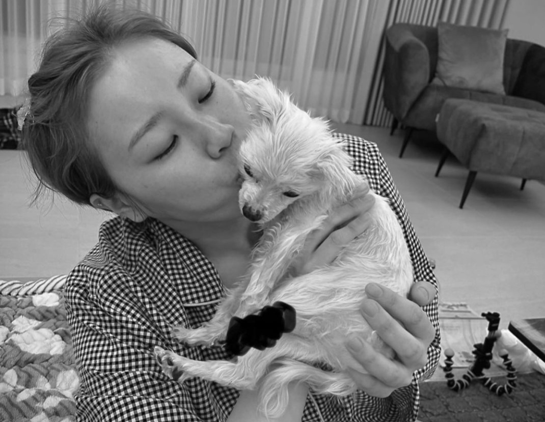 입짧은햇님 팬분의 후원