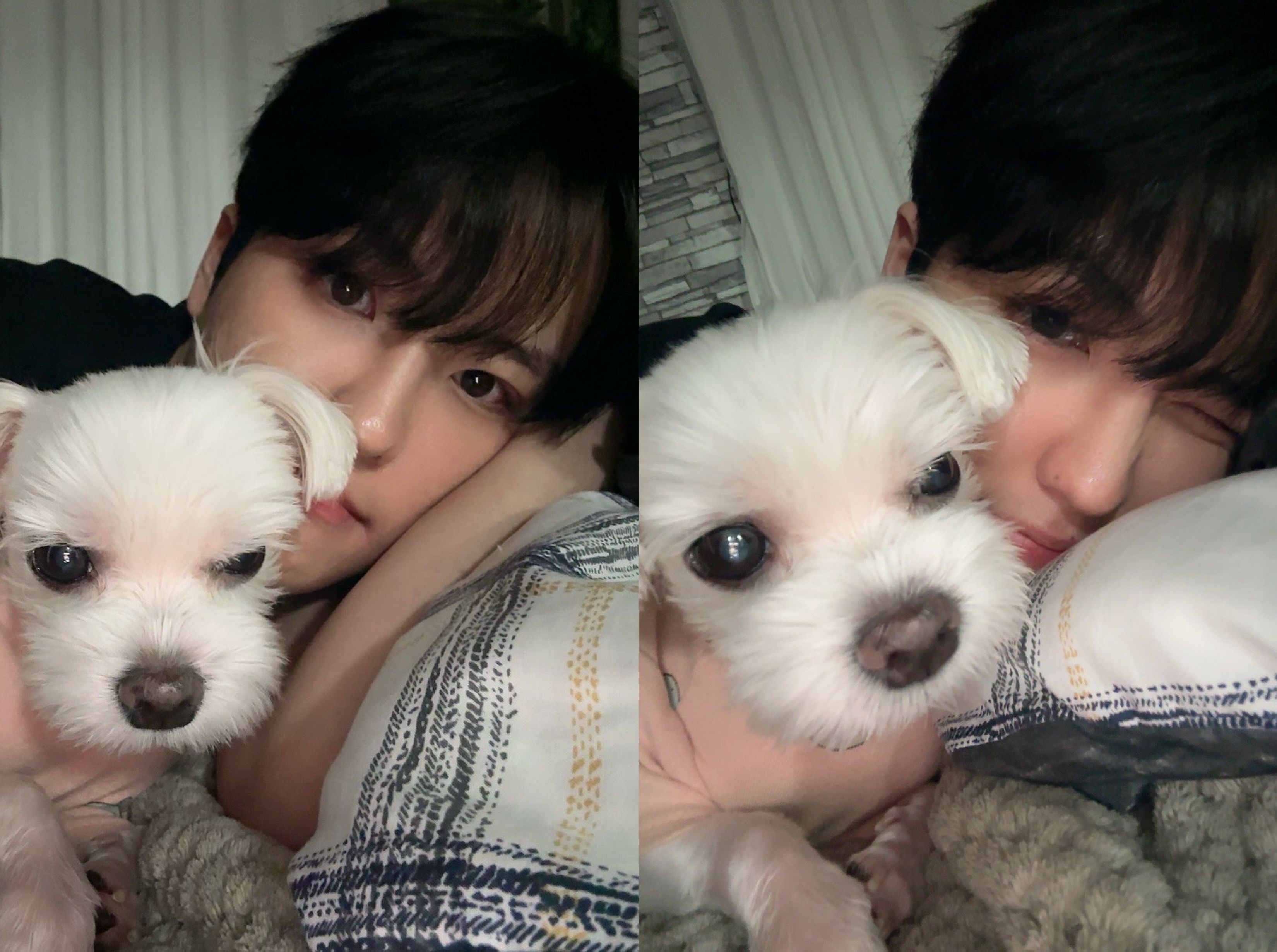 더 킹덤 루이(The KingDom LOUIS) 팬분의 후원