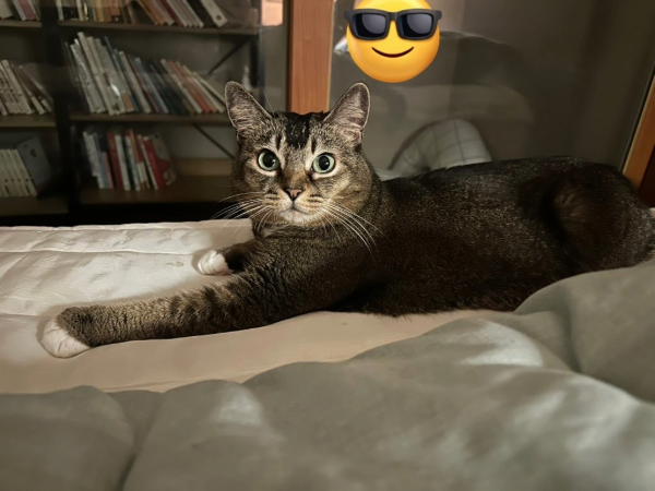 범이 팬분의 후원