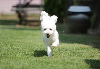 모찌(전 아름이)의 여덟달째 이야기
