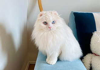 설이(앙이)와의 즐거운 한 달!