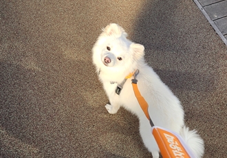 유비 임시보호 1주일차