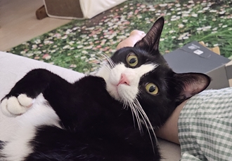 허밍이 입양 2년차