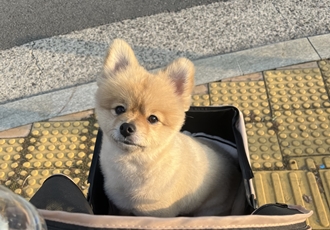 곤지암 그일이~ 현 하트에요❤️