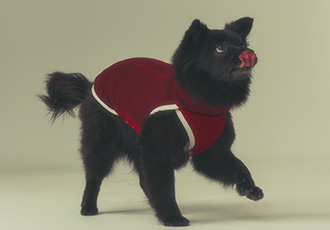 나오미 입양, 벌써 1년이 지났네요