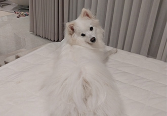 하니 ( 꼬야) 의 치명적인 뒤태...