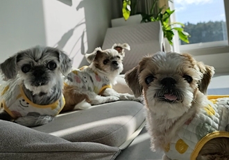 율무,수수(춘식) 2년 후기입니다.