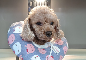 감기조심하세요~~~♡