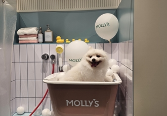 (곤지암 꽃별이 )별 인사드려요 ~