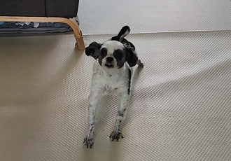 포유의 ❤️💕😍